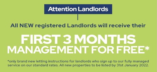 landlord-image.jpg