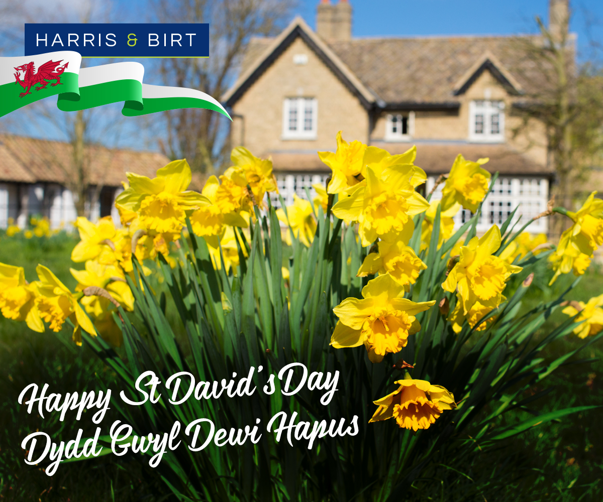 st-davids-day.jpg