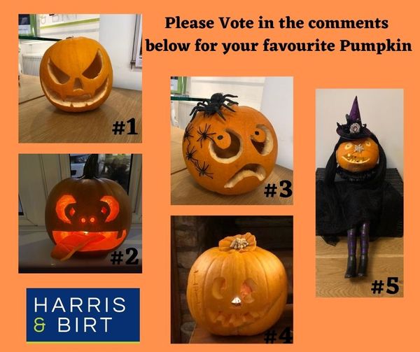 pumpkins.jpg